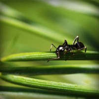 /album/greenservice/photolia-a05-jpg/