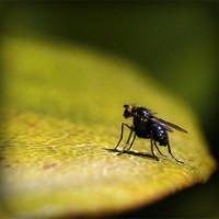 /album/greenservice/photolia-a07-jpg/